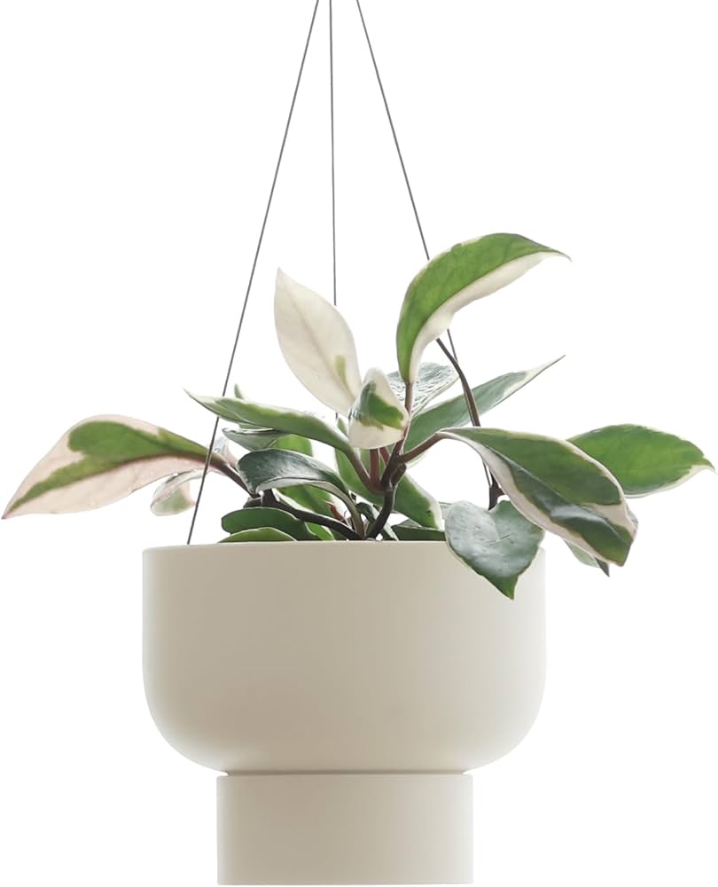 Amazon.co.jp: マーナ (marna) ハンギングプラントポット (155mm Amazon.co.jp: マーナ (marna) ハンギングプラントポット (155mm